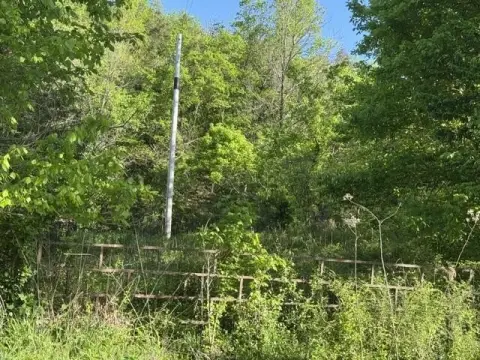 Ozark Acreage Near National Forest