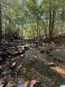 Hunting Land with Creek Frontage