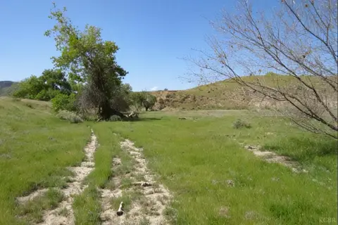 Coalinga Rangeland with Conservation Easement