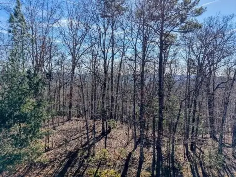 Blairsville GA Lake Access Lot