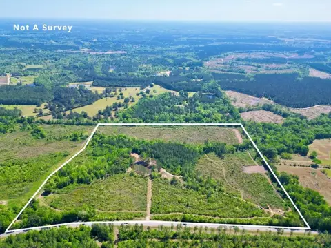 Secluded Acreage with Pond View