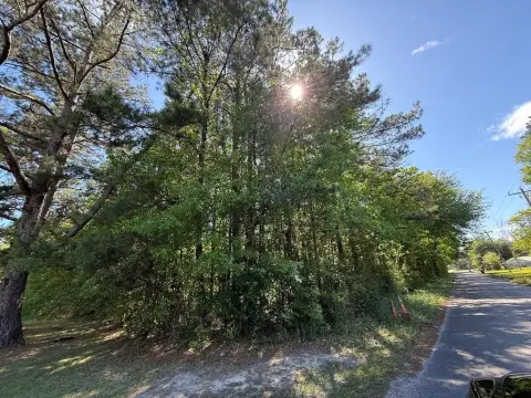 Undeveloped Land Near I-59