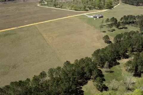 7.79 Acres in Carriere, MS