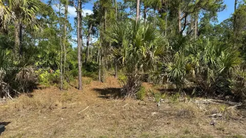 Ready-to-Build Home Site