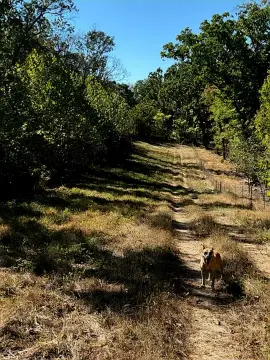 35-Acre Wooded Recreation Land