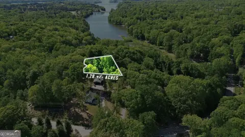 Gainesville Land: Build Your Dream