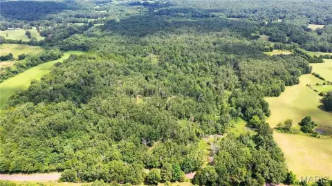 Recreational Hunting Land Parcel