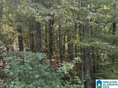 Hunting Land with Separate Parcel