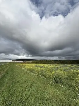 Working Agricultural Farm