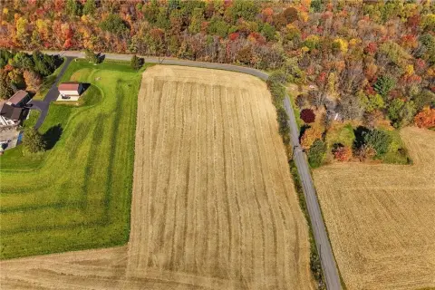 Cleared Agricultural Land