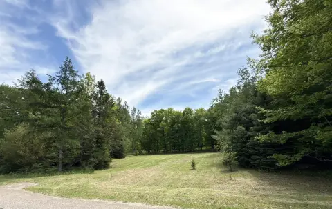 Wooded Residential Buildable Lot