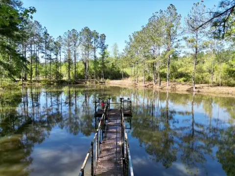 Secluded Land with Pond View
