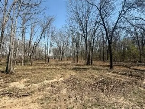 West Plains Acreage For Sale