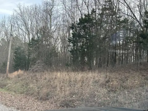 Land in Ridgedale, Missouri