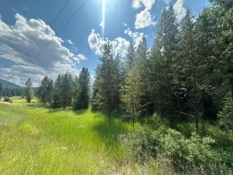 Recreation Land with Cabin