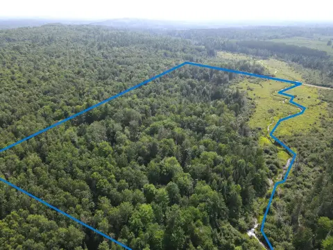 Wooded Hunting Land with Creek Frontage