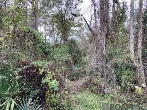 Residential Land in Denham Springs