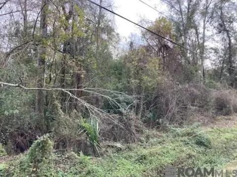 Residential Land in Denham Springs