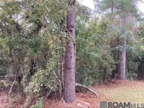 Residential Land in Denham Springs