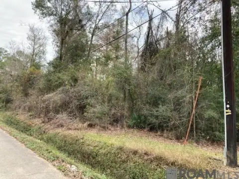 Residential Land in Denham Springs