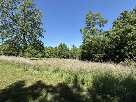 Land Near Stockton Lake