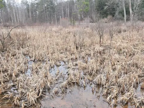 Gainesville NY Recreational Land