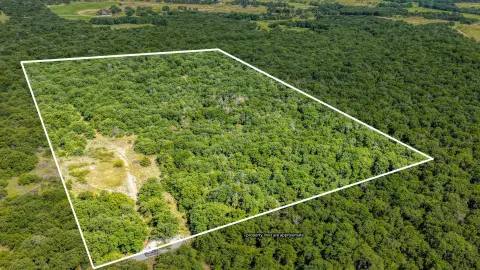 Heavily Treed Agricultural Lot
