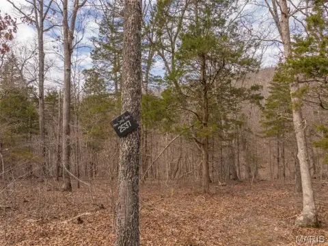 Residential Development Lot