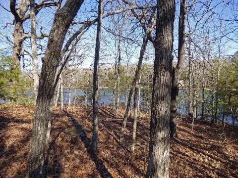Lakefront Lots on Lake Chanute