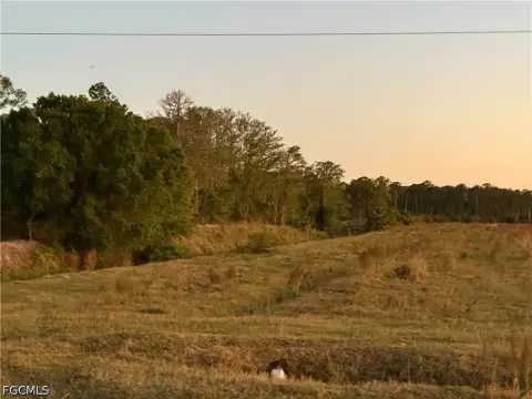 Fenced Agricultural Land