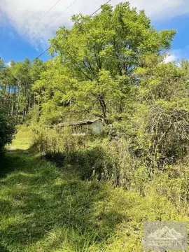 Hunting Land with Existing Cabin