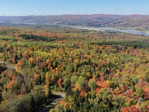 Hunting Land with Ponds