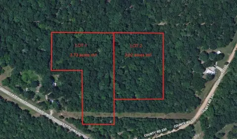 Mostly Wooded Land