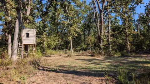 Timbered Hunting Land with Food Plots