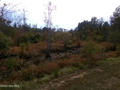 Land in White Oak, NC