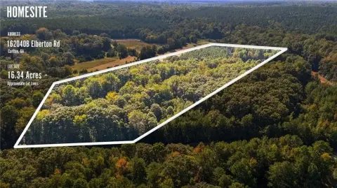 Wooded Land with Rolling Terrain