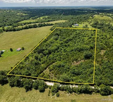 Wooded Farmland Parcel