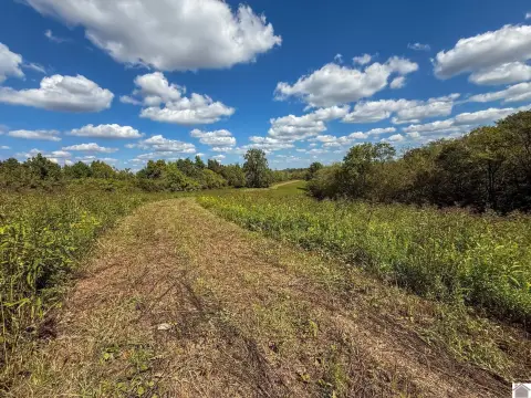 Nicholas County Land For Sale