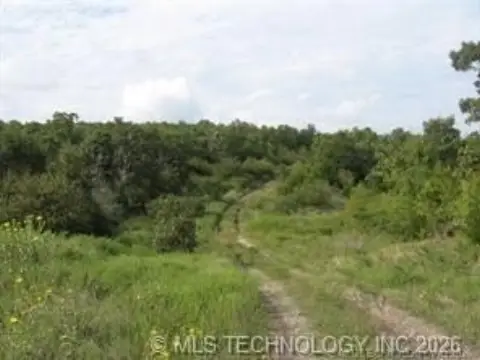 160 Acres Wooded Land Available