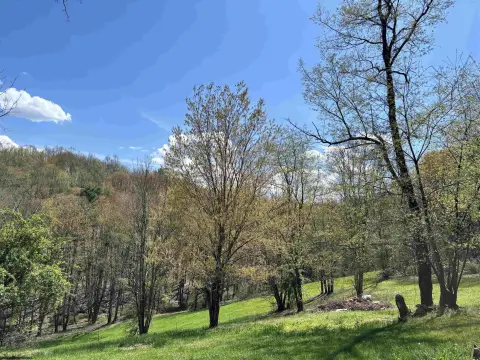 Residential Land in Philippi, WV