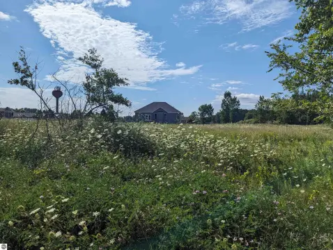 Residential Lot in Au Gres