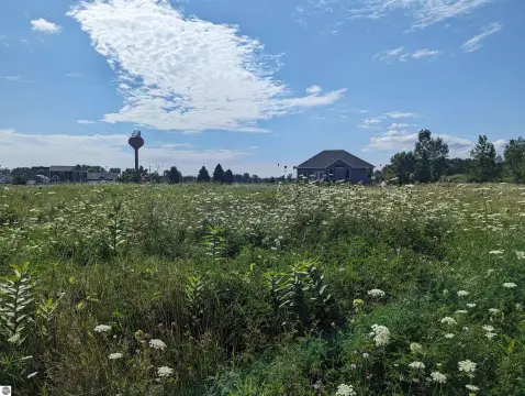 Residential Lot in Au Gres