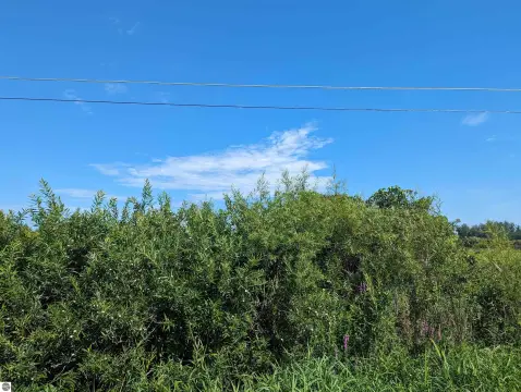 Residential Lot in Au Gres