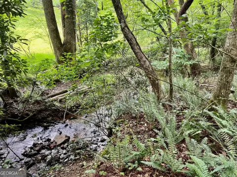 Blairsville Land Ready to Build