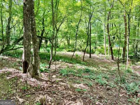 Blairsville Land with Creek Access