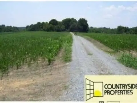 54.52 Acres of Farmland