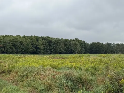 13.21 Acres Vacant Land