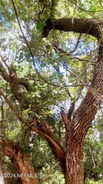 Keystone Heights Lakefront Land