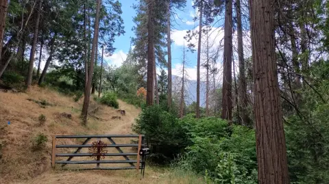 Secluded Land in Giant Sequoia Monument
