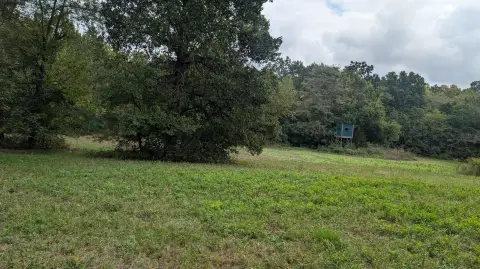 Timbered Hunting Land with Cabin